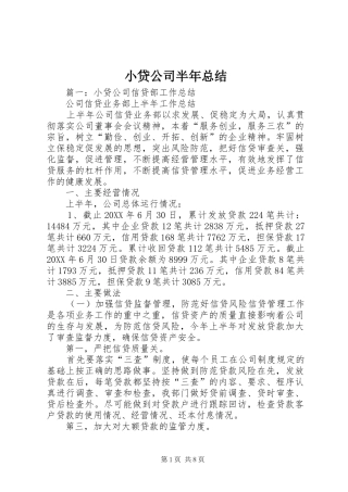 2024年小贷公司半年总结