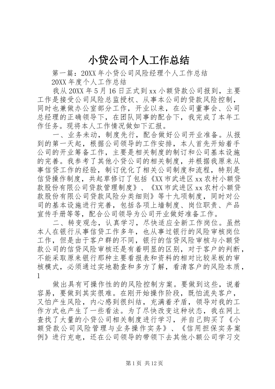 2024年小贷公司个人工作总结_第1页