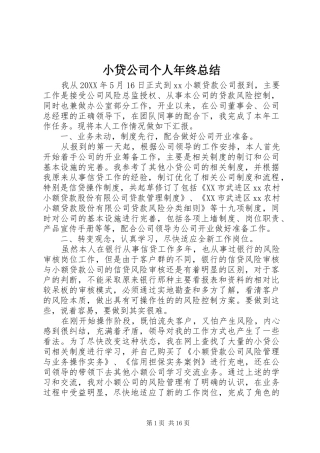 2024年小贷公司个人年终总结