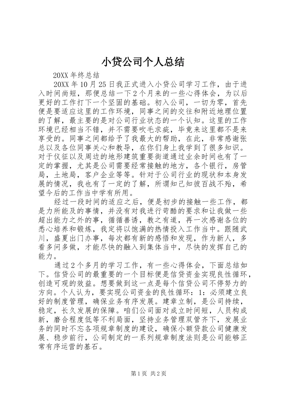 2024年小贷公司个人总结_第1页