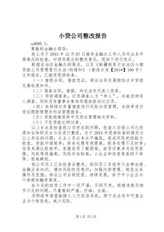 2024年小贷公司整改报告