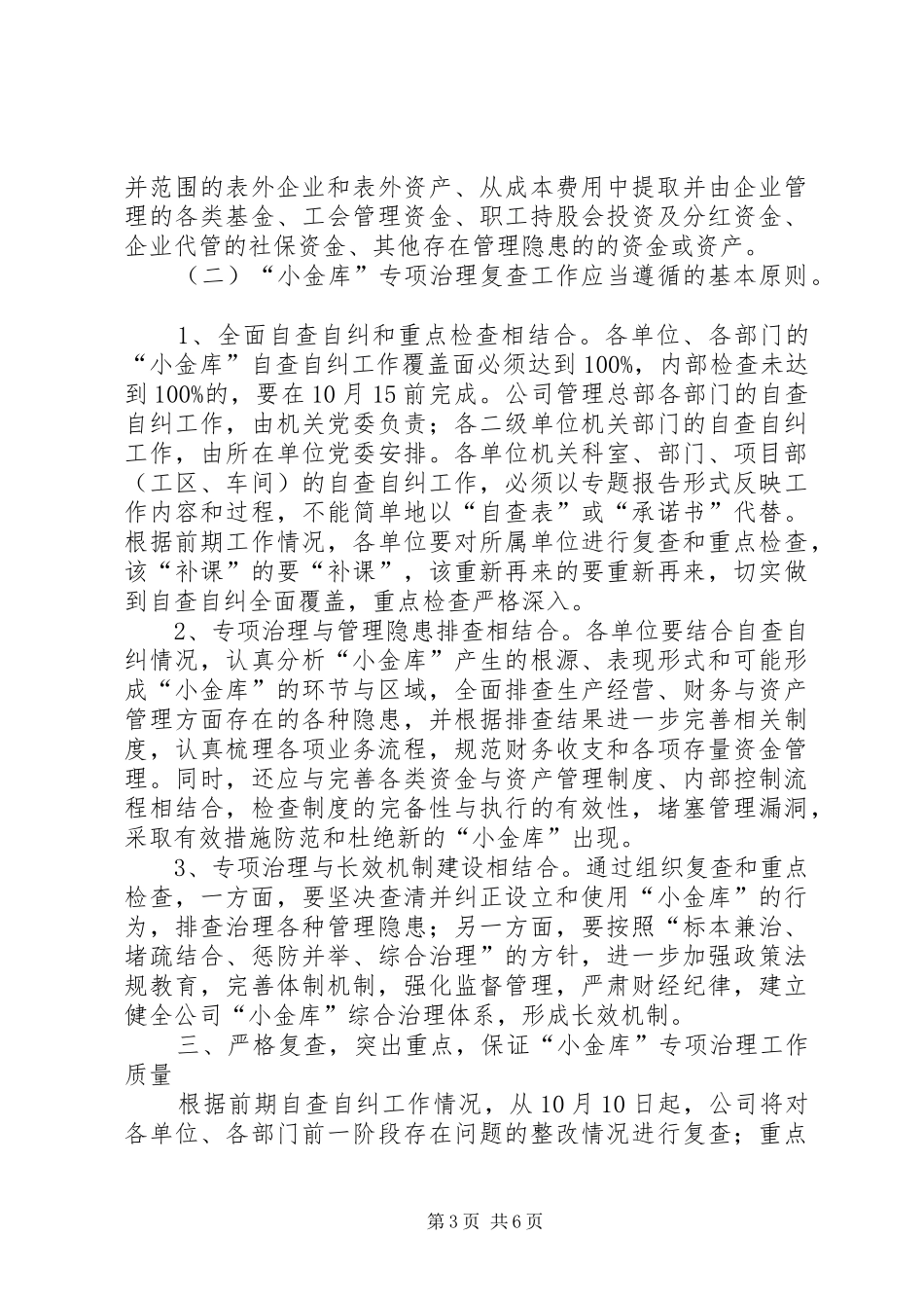 2024年小金库复查工作方案_第3页