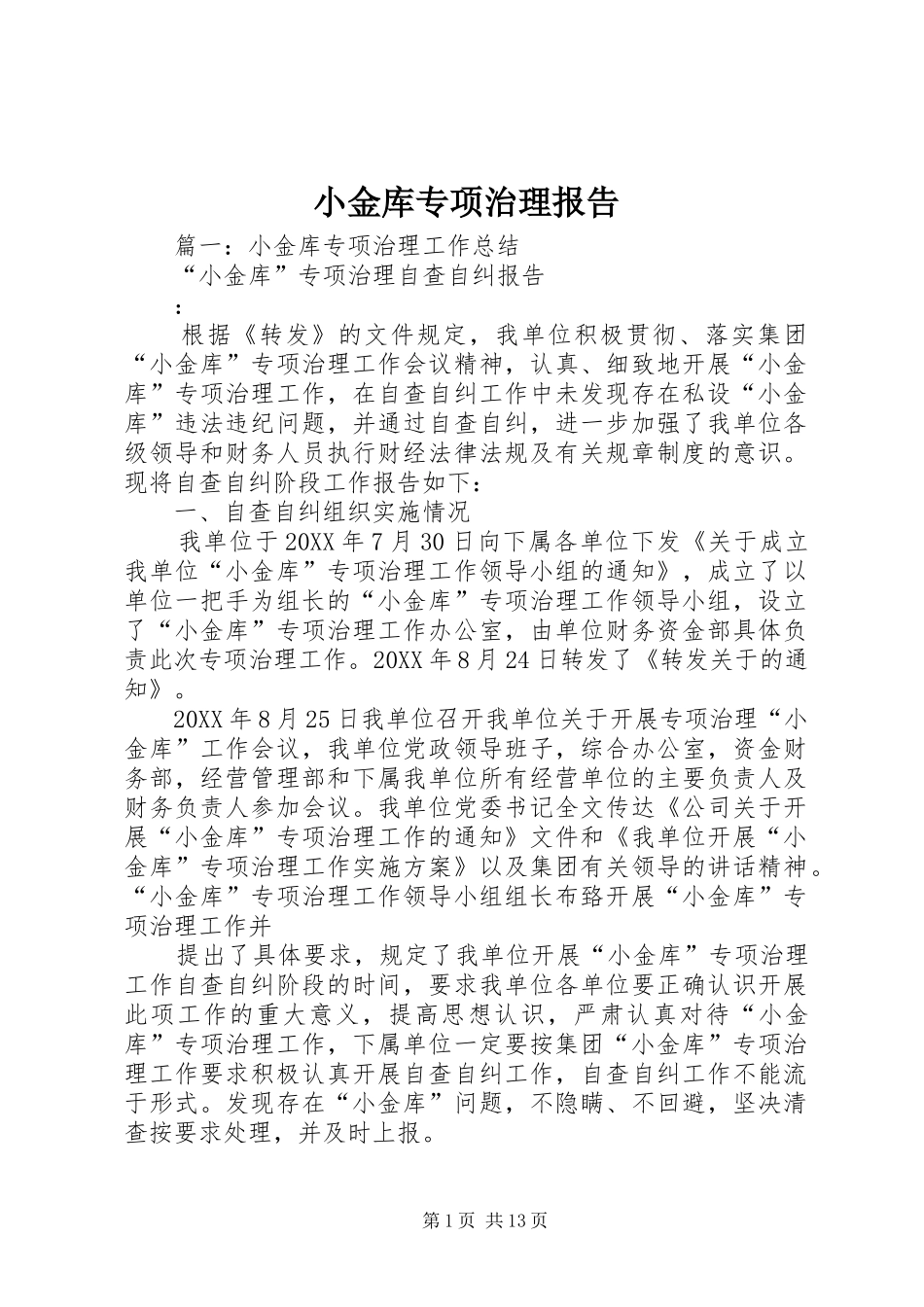 2024年小金库专项治理报告_第1页