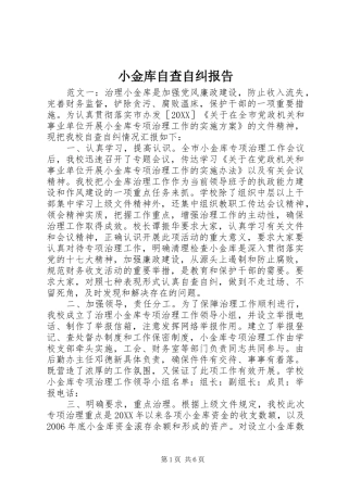 2024年小金库自查自纠报告