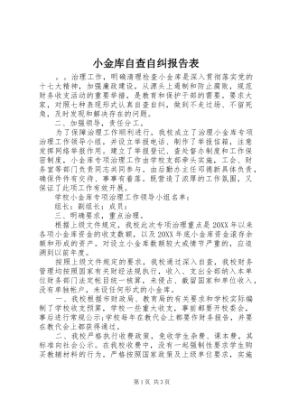 2024年小金库自查自纠报告表