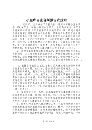 2024年小金库自查自纠报告农技站