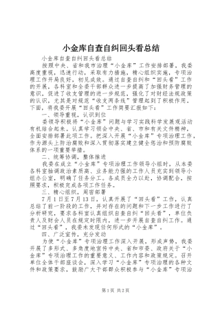 2024年小金库自查自纠回头看总结