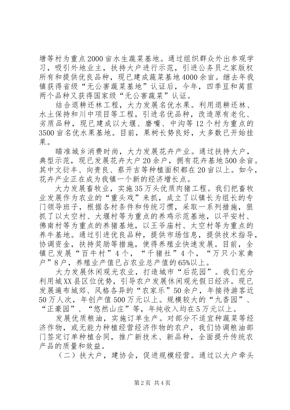 2024年小康示范村镇建设经验材料_第2页