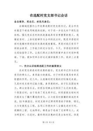 2024年在选配村党支部书记会话