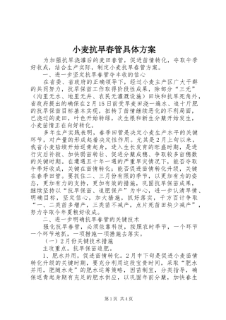 2024年小麦抗旱春管具体方案