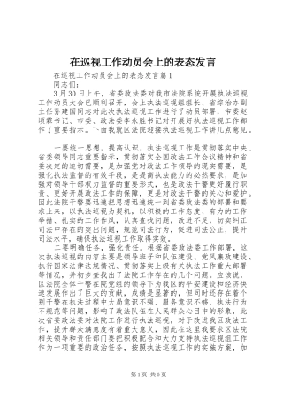 2024年在巡视工作动员会上的表态讲话