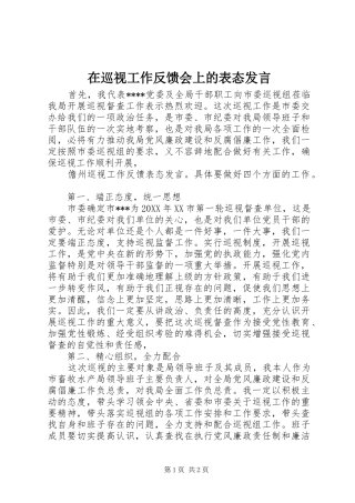 2024年在巡视工作反馈会上的表态讲话