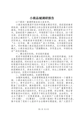 2024年小商品城调研报告