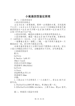 2024年小鼠基因型鉴定原理