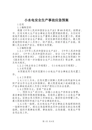 2024年小水电安全生产事故应急预案