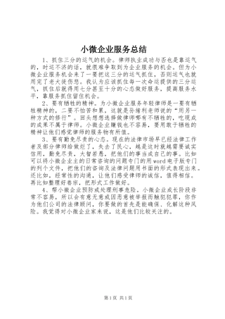 2024年小微企业服务总结