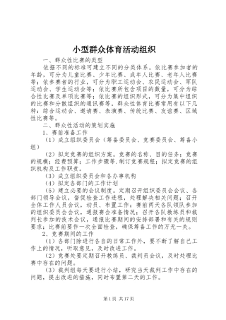 2024年小型群众体育活动组织