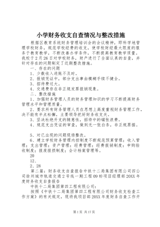 2024年小学财务收支自查情况与整改措施