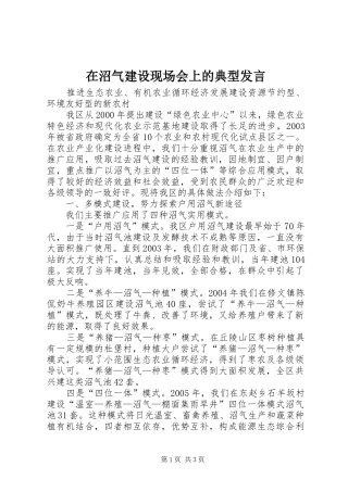 2024年在沼气建设现场会上的典型讲话