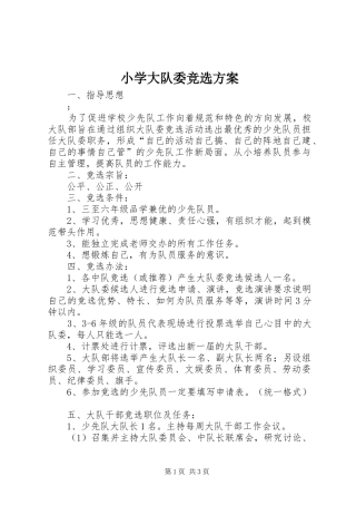 2024年小学大队委竞选方案