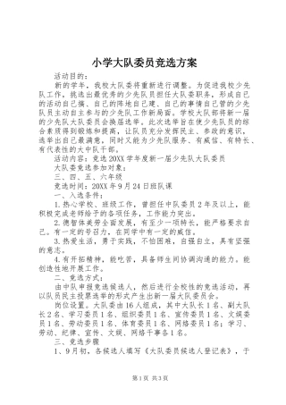 2024年小学大队委员竞选方案