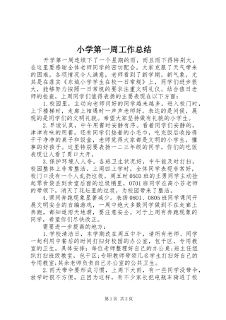 2024年小学第一周工作总结