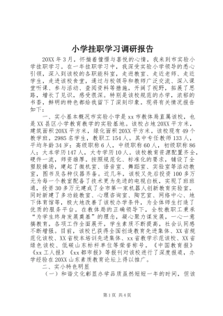 2024年小学挂职学习调研报告