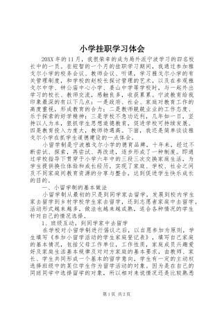 2024年小学挂职学习体会