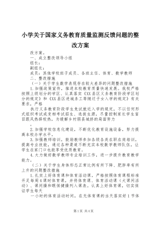 2024年小学关于国家义务教育质量监测反馈问题的整改方案