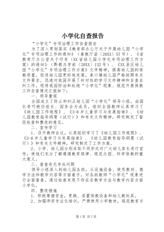 2024年小学化自查报告