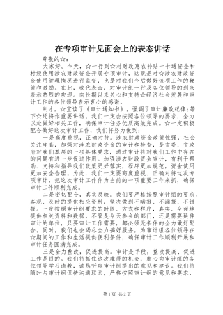 2024年在专项审计见面会上的表态致辞
