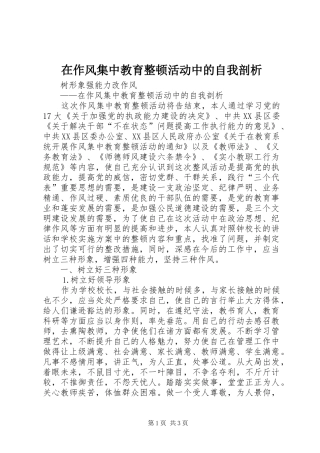 2024年在作风集中教育整顿活动中的自我剖析