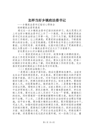 2024年怎样当好乡镇政法委书记
