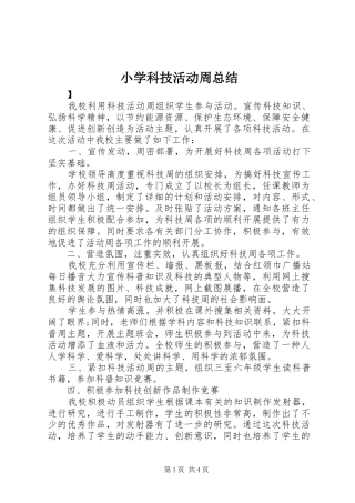 2024年小学科技活动周总结