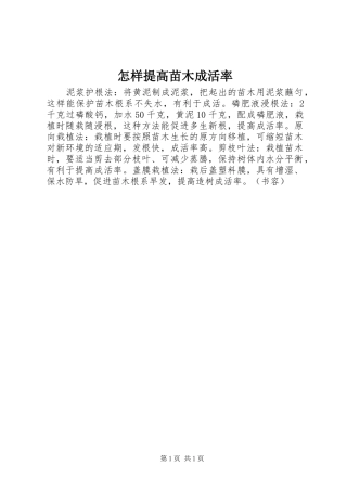 2024年怎样提高苗木成活率