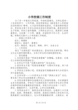 2024年小学控烟工作制度