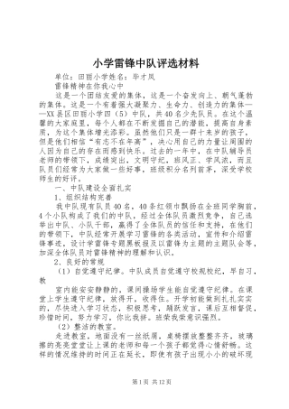 2024年小学雷锋中队评选材料