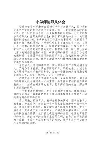 2024年小学师德师风体会