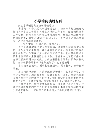 2024年小学消防演练总结