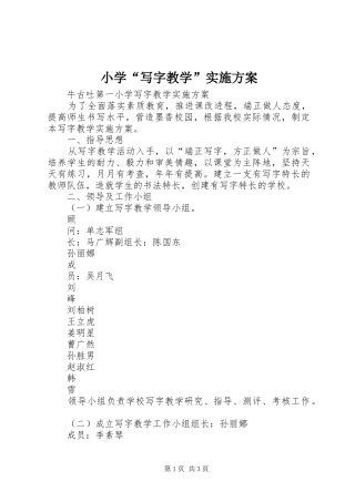 2024年小学写字教学实施方案