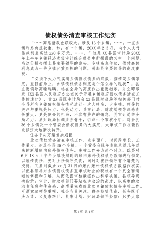 2024年债权债务清查审核工作纪实