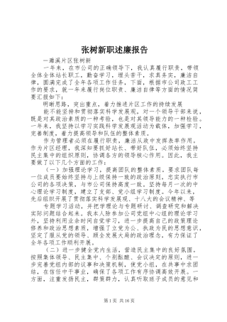 2024年张树新职述廉报告