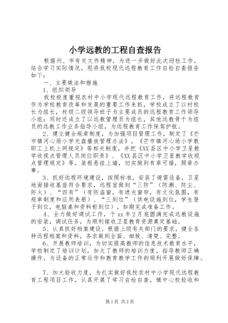 2024年小学远教的工程自查报告