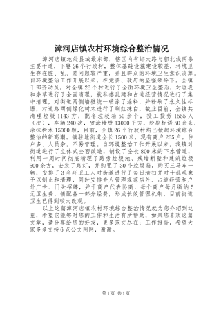 2024年漳河店镇农村环境综合整治情况