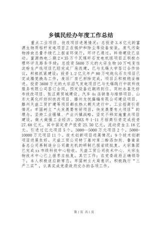 2024年乡镇民经办年度工作总结