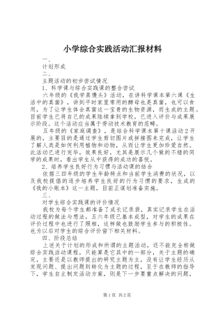 2024年小学综合实践活动汇报材料