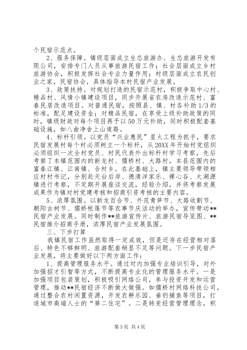 2024年乡镇民宿经济发展情况汇报_第3页