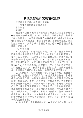 2024年乡镇民宿经济发展情况汇报