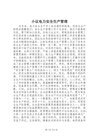 2024年小议电力安全生产管理
