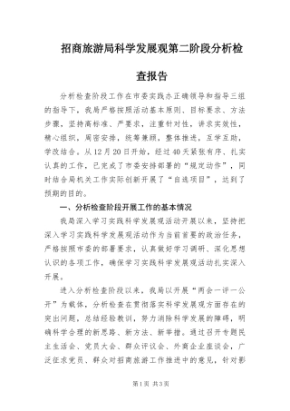 2024年招商旅游局科学发展观第二阶段分析检查报告